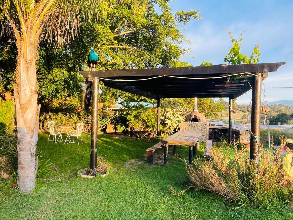Moonriver Cottage, Prime Lagoon Views & Solar Power Knysna Eksteriør bilde